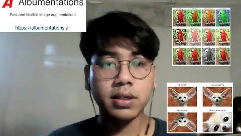 Lack of training data, but Albumentations is on the rescue