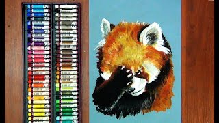 Как нарисовать красную панду / How to draw a red panda