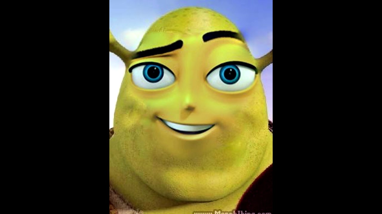 Bee Movie Cursed Images - YouTube.