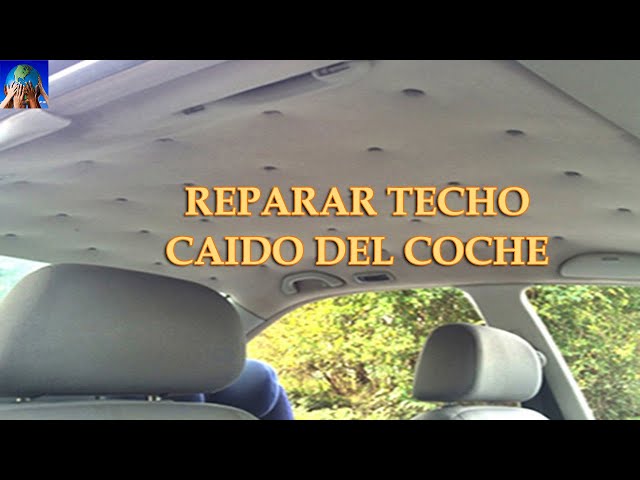 Chinchetas Techo Coche, Techo Coche Despegado, 20 Piezas Kit Reparacion  Techo Coche, Reparar Techo Caido Coche para Todos Los Techos Coches Fijos