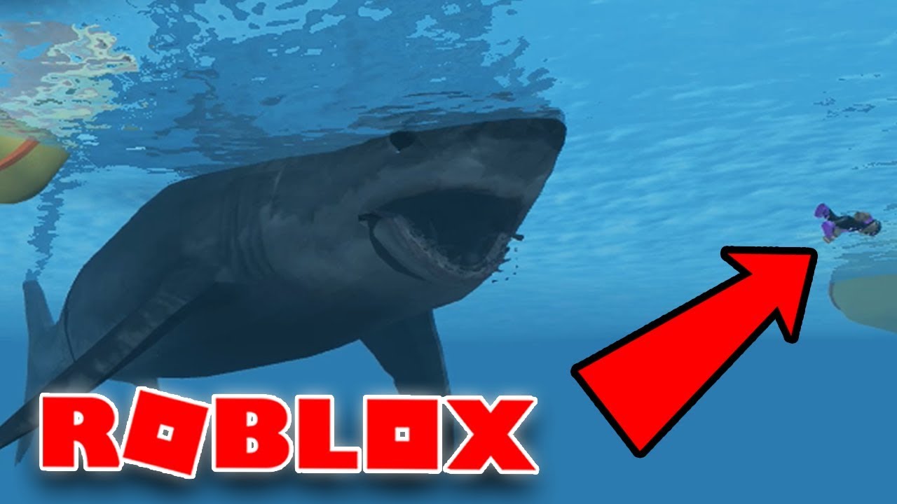 The Most Insane Jaws Game In Roblox Sharkbite Alpha Roblox Survival Games Youtube - play roblox jaws