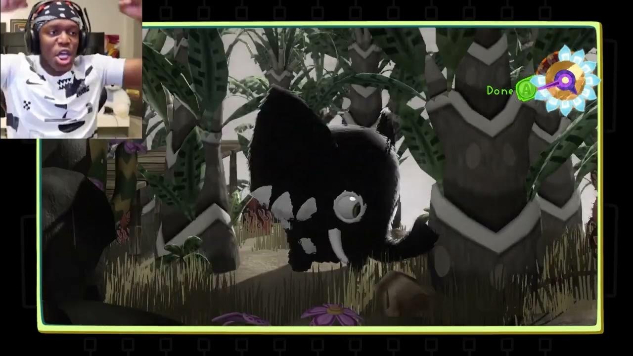 KSI can't wait to get an Elephanilla! YouTube