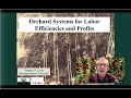 Orchard Systems for Cherry Efficiencies and Profits