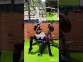 HOME & GYM WORKOUT #homeworkout #gymworkoutmotivation #fitnessmotivation #performancecoach
