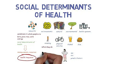 What Makes Us Healthy? Understanding the Social Determinants of Health - DayDayNews