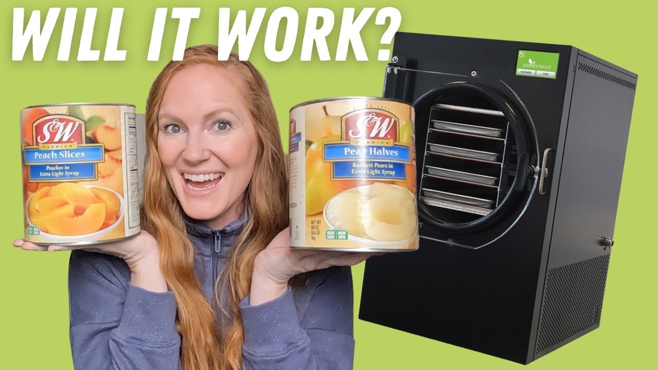 From Can to Crunch: A Guide to Freeze Drying Canned Fruit!