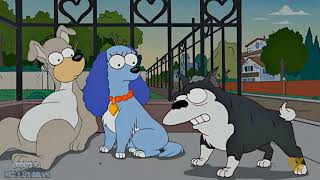 The Simpsons - Wild Dog Love Story And Domestic Dog