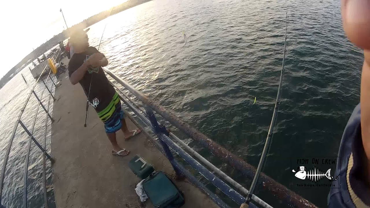 San Diego Fishing 2013: The Bait Master at the North Island fishing