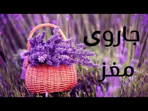 پاکسازی مغز با اسطوخودوس جلادهنده قوی مغز مغز اسطوخودوس ذهن آرام