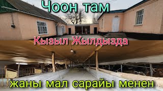 Там сатылат жаны чоон мал сарайы менен