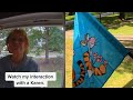 Mini Adventures of Winnie the Pooh and #Karen (feat. #TiggerFlag)