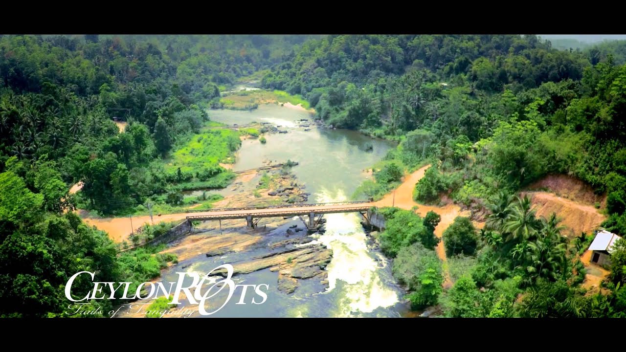Ceylon Roots Amazing Sri Lanka - Ceylon Roots - YouTube