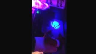 Mc eksman Dj guv b2b Logan D Bristol 7 12 13