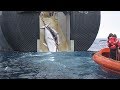 Традиции против экологии: почему Япония возвращается к китобойному промыслу