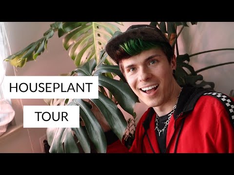 HOUSEPLANT TOUR