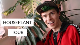 HOUSEPLANT TOUR