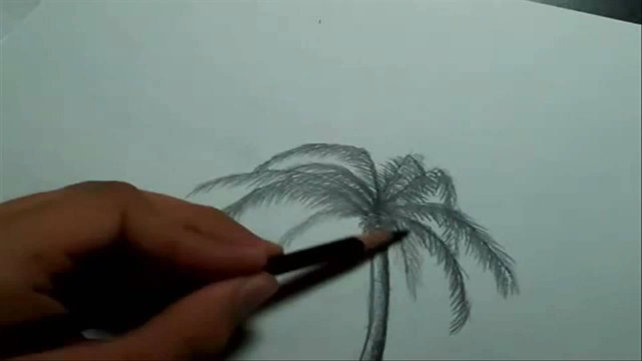 palm tree beach drawing