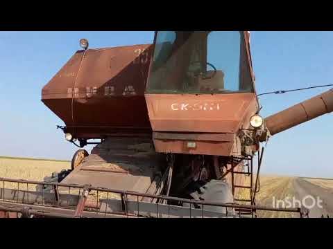 Уборка 2022. Убираем