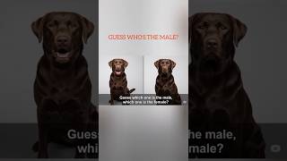 99 Cant Guess It Right The First Time