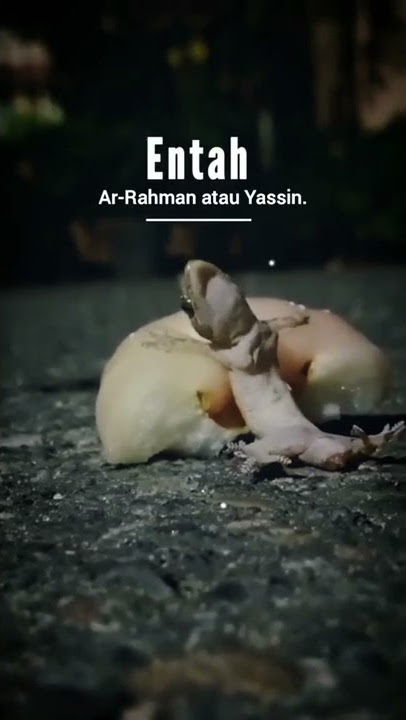 Antara ar-rahman atau Yasin #virall #storywa #quotes #tiktok