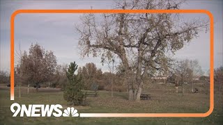 Former Loveland Police officer arrested after investigation