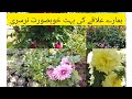 Aaj Mn Nursery Gae ||Gher Ky Lea New Plants Dhky||Bhut Achy Flowers Plants Thy