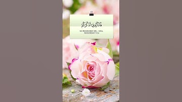 قوله تعالى"فَاذْكُرُونِي أَذْكُرْكُمْ وَاشْكُرُوا لِي وَلَا تَكْفُرُونِ [ سورة البقرة ...