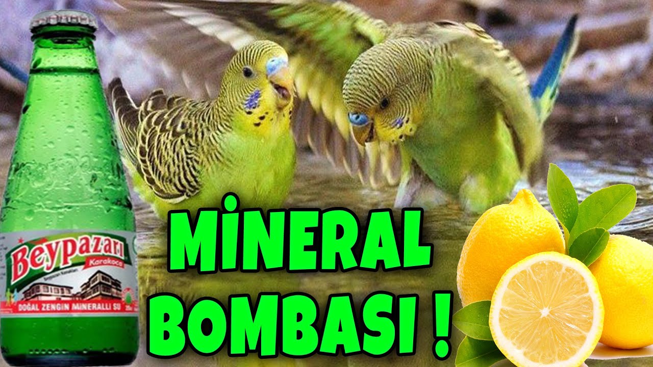 BU TARİF MUHABBET KUŞUNU COŞTURACAK ! MİNERAL DEPOSU