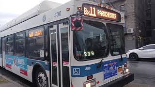 MTA Bus 300 on the Bx11