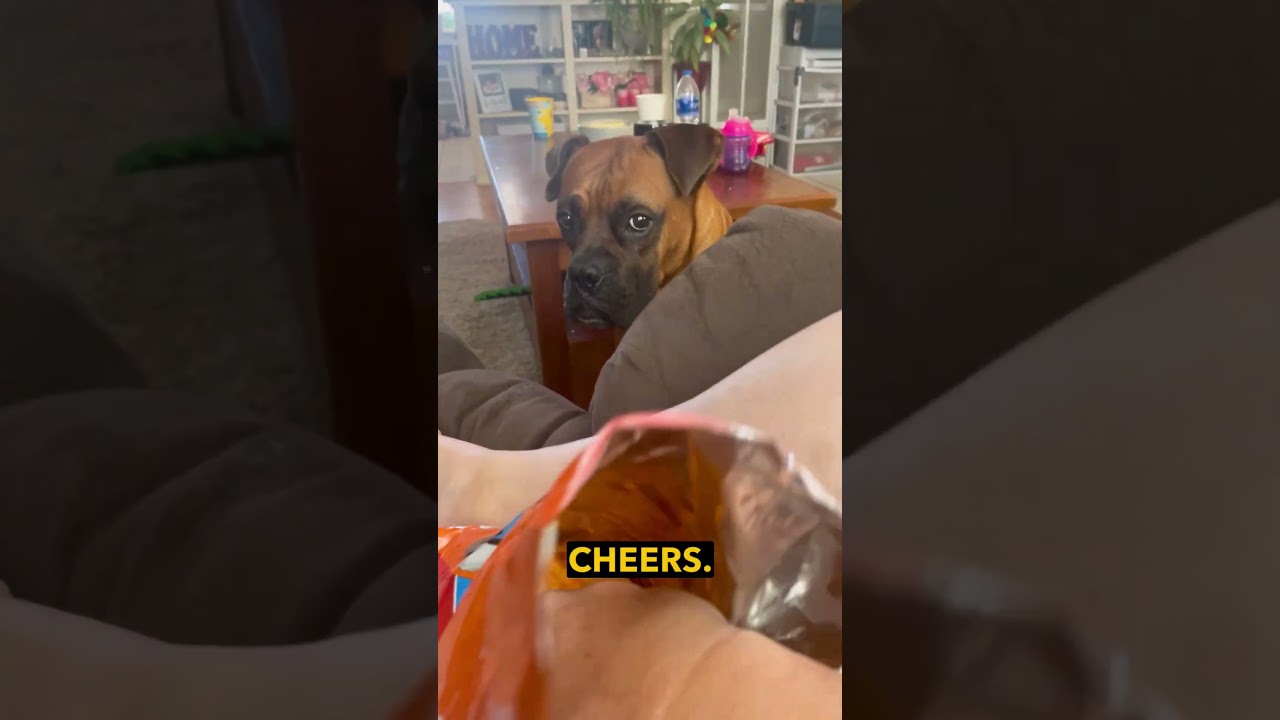 She Caught the Treat!