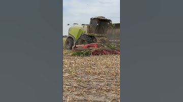 Claas 990 is hungry 🤤 😎