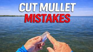 Why Your Cut Mullet Isnt Getting Bit