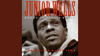 Video thumbnail of "Junior Wells - Trouble Don't Last Always"
