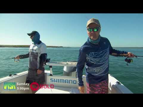 IFISH Series 15 Episode 16
