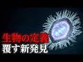 生物とは何か?その定義が根底から揺らぐ最新の大発見