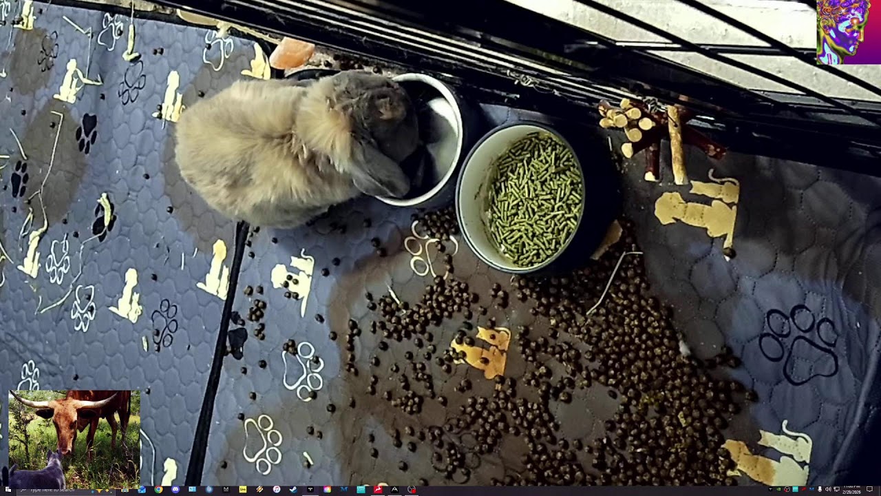 Call of Duty :: World at War :: Feb 28th 2026  #callofduty #WorldatWar #agx #saturday #COD