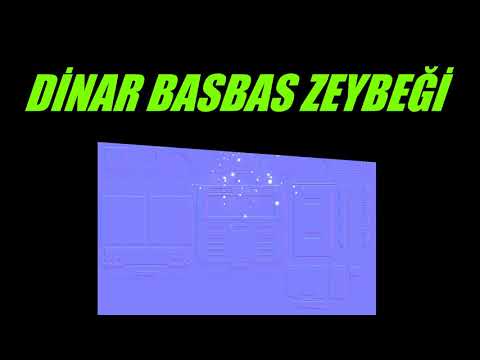 BASBAS ZEYBEĞİ DİNAR