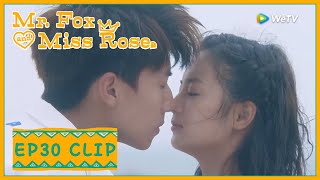 【Mr. Fox and Miss Rose】EP30 Clip | He finally proposed to his beloved! | 酋长的男人 | ENG SUB