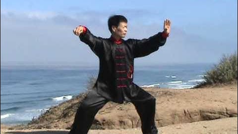 Chen Tai Chi New Frame Routine 1 Xin-jia Yilu - Jesse Tsao