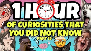 1 HOUR OF CURIOSITIES AND THINGS YOU DIDN'T KNOW 🧠⏰ #15