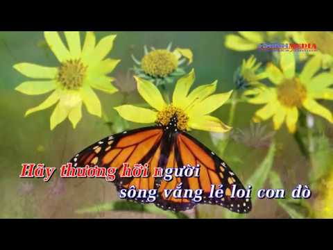 Người ơi hãy về [ Karaoke ] - Beat chuẩn