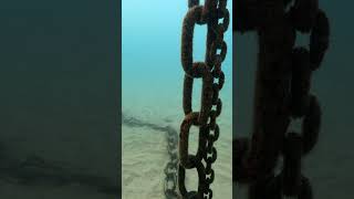 What Is A Mooring Ball? Sailing Basics Explained