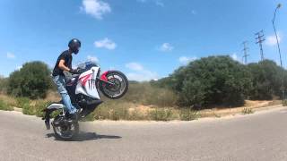 cbr 250 wheelie dark rider as