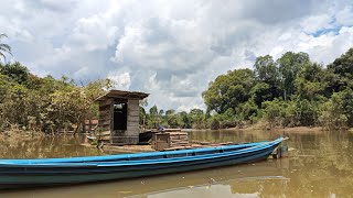 Download Lagu Perjalanan Ke Kampung Dayak Yang Kaya Ikan,Hutan \u0026 Alam. Sungai Pendreh Kalimantan Tengah.  MP3