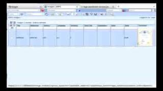 erp5 demo-Segment1.flv