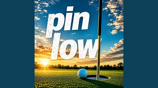 Pin Low