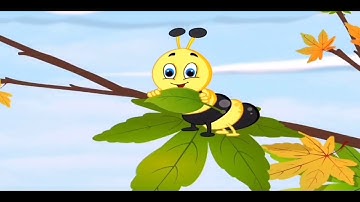 Tìm hiểu vòng đời của bướm