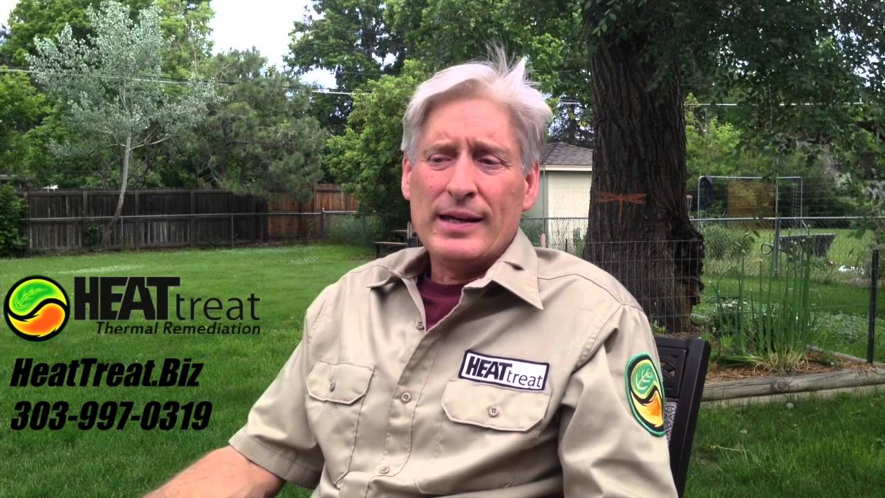 Bed Bugs-Women and Children by Heat Treat Denver Bed Bug Exterminator