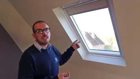 VELUX Window Guide