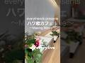 BS12テレビ番組に出演しよう！ ハワイに恋して！スピンオフ番組 × everylive　〜Maiking movie〜